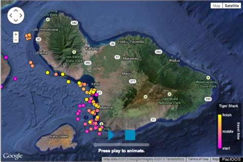 hawaii shark tracking website.